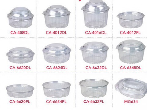 ถ้ายพลาสติก+ฝาโดม